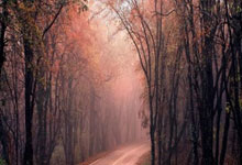 开云体育-钢铁之躯铸荣光：无名小卒的逆袭，斯洛伐克体操黑马的铜牌传奇