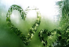 开云体育下载-塔斯马尼亚联阵容磨合加速，迎接严峻挑战