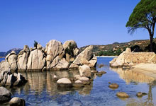 开云体育APP下载-蒙特雷备战世俱杯半决赛，阿尔艾因状态成关键