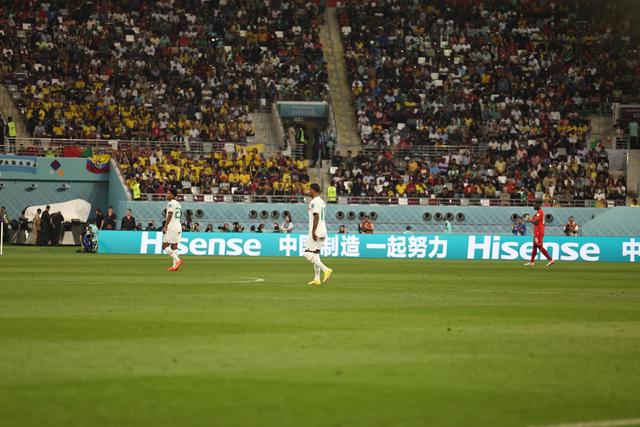 沙特阿拉伯队成为黑马，逆袭成功