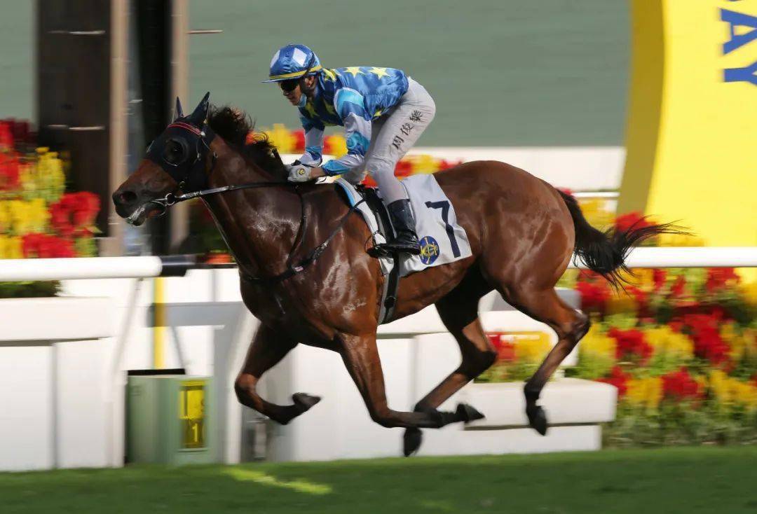 甘肃队再胜一仗,小组赛冲刺 甘肃队再胜一仗,小组赛冲刺