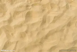 沙尔克球员轮换阵容，试图找出最佳出击方案的简单介绍